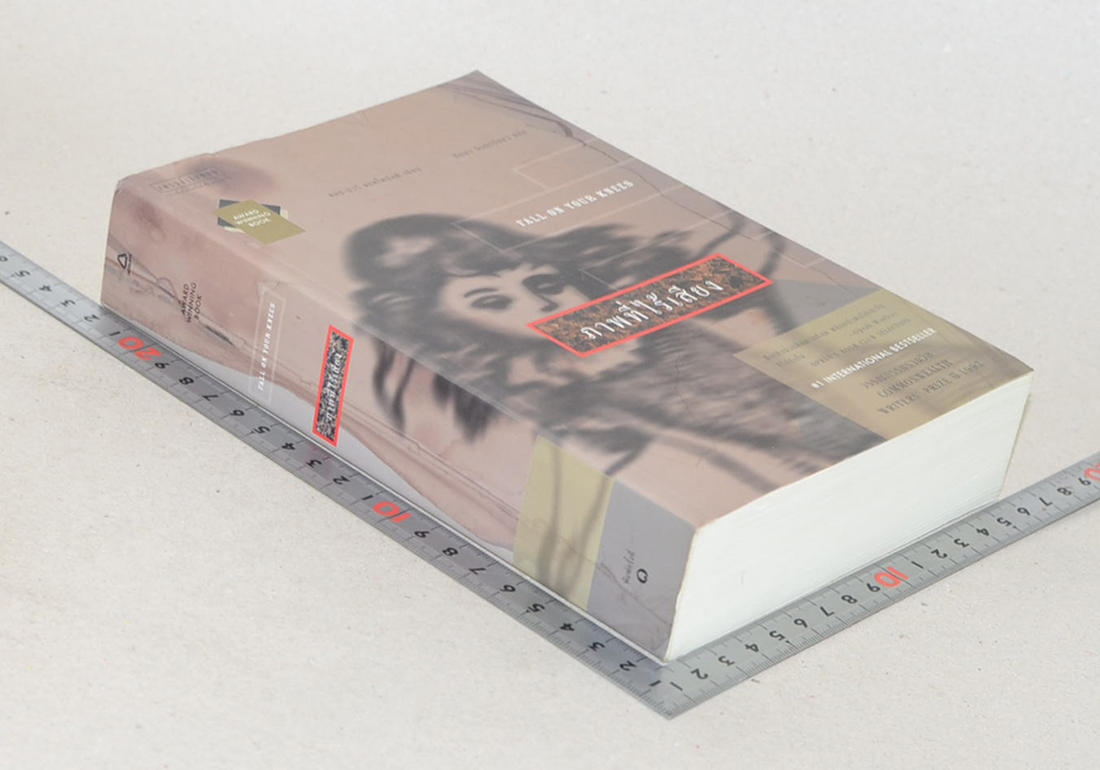 ภาพที่ไร้เสียง