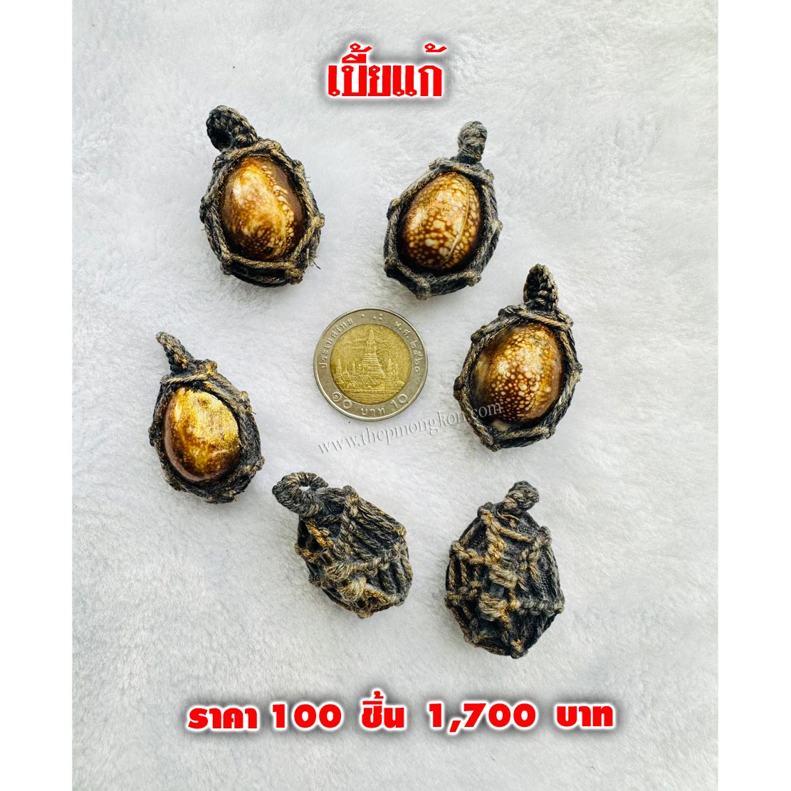 เบี้ยแก้ (จำหน่ายราคาส่งขั้นต่ำ 100 ชิ้น) 1,700 บาท เฉลี่ยชิ้นละ 17 บาท