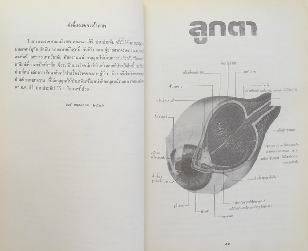 พลตำรวจตรี สิริ ปานประทีป (โรคของตา)