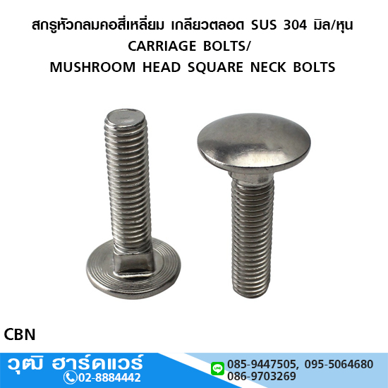 สกรูหัวกลมคอสี่เหลี่ยม เกลียวตลอด SUS 304 มิล/หุน