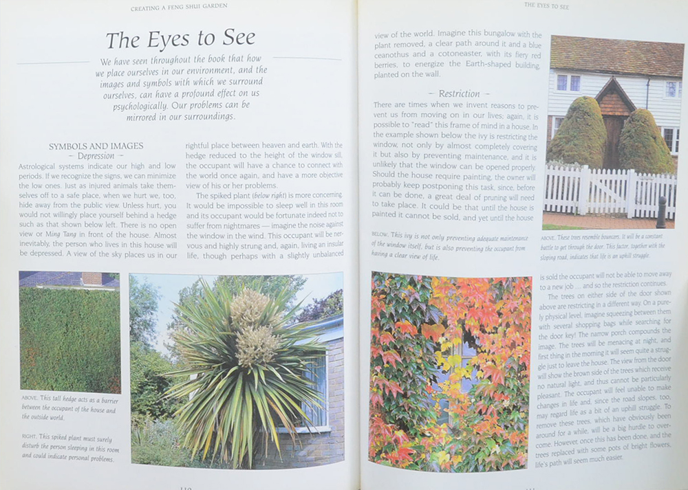 THE FENG SHUI GARDEN