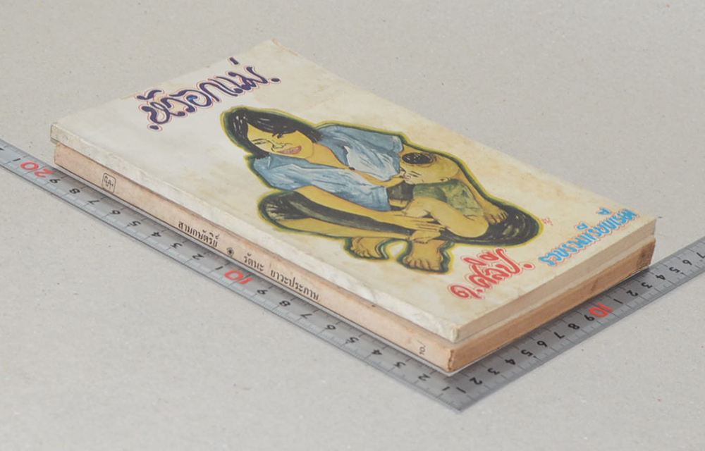 รวมเรื่อง (2 เล่ม)