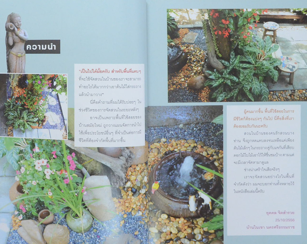 สวนน้ำในบ้าน (ขายตามสภาพ)