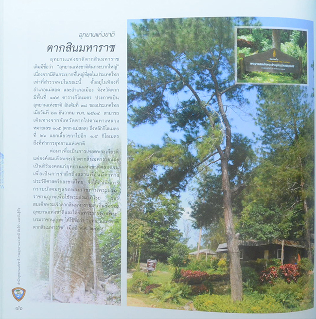 อุทยานแห่งชาติ ใต้ร่มพระบารมีจักรีภูมิพล (ขายตามสภาพ)