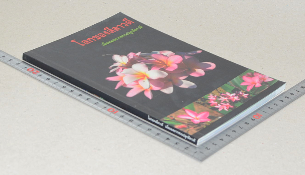 โลกของลีลาวดี เมื่อผมอยากชวนปลูกลีลาวดี (ขายตามสภาพ)