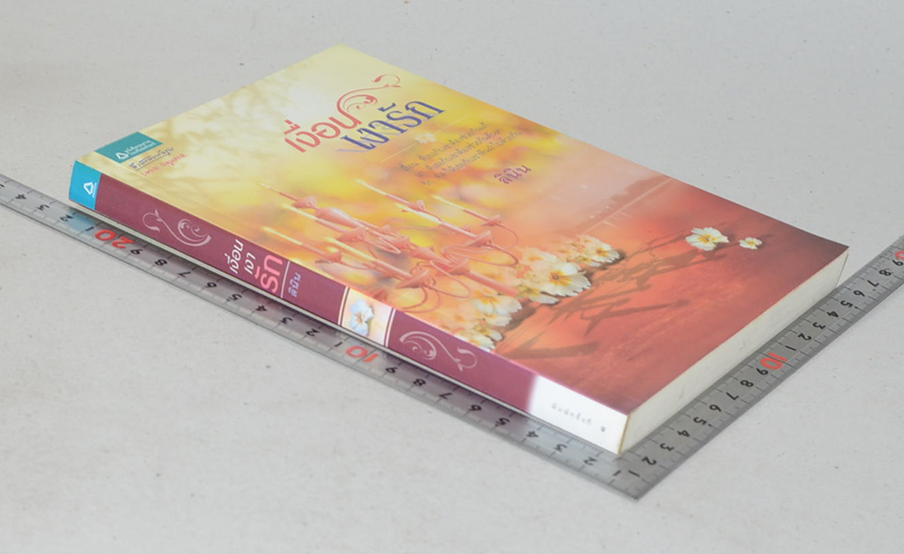 เงื่อนเงารัก