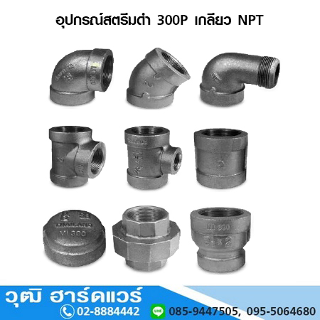 อุปกรณ์สตีมดำ 300P เกลียว NPT