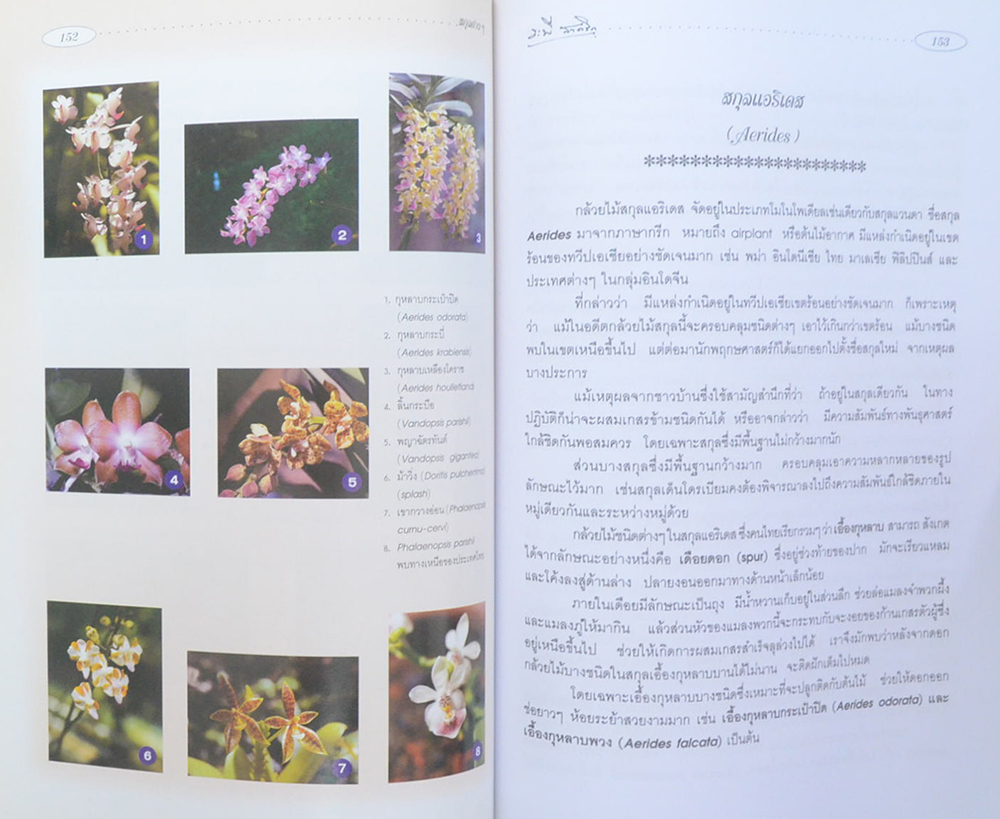 กล้วยไม้สำหรับผู้เริ่มต้น (หนังสือมีมากกว่า 1 เล่ม)