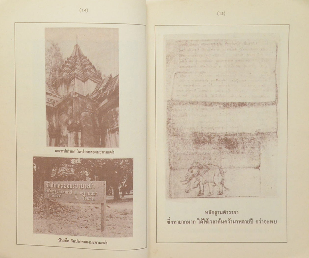 ตำรายาชาวบ้าน (ขนานแท้)