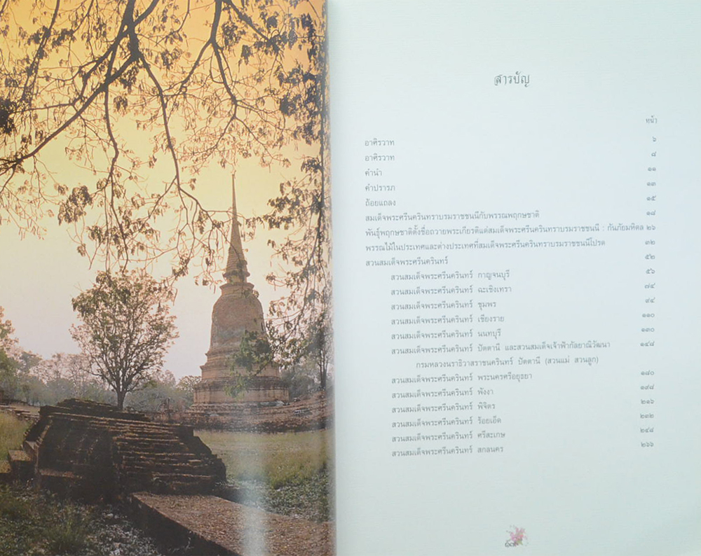 สวนสมเด็จพระศรีนครินทร์ (ขายตามสภาพ)