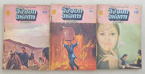 จิ้งจอกอหังการ (14 เล่ม / ไม่จบ)