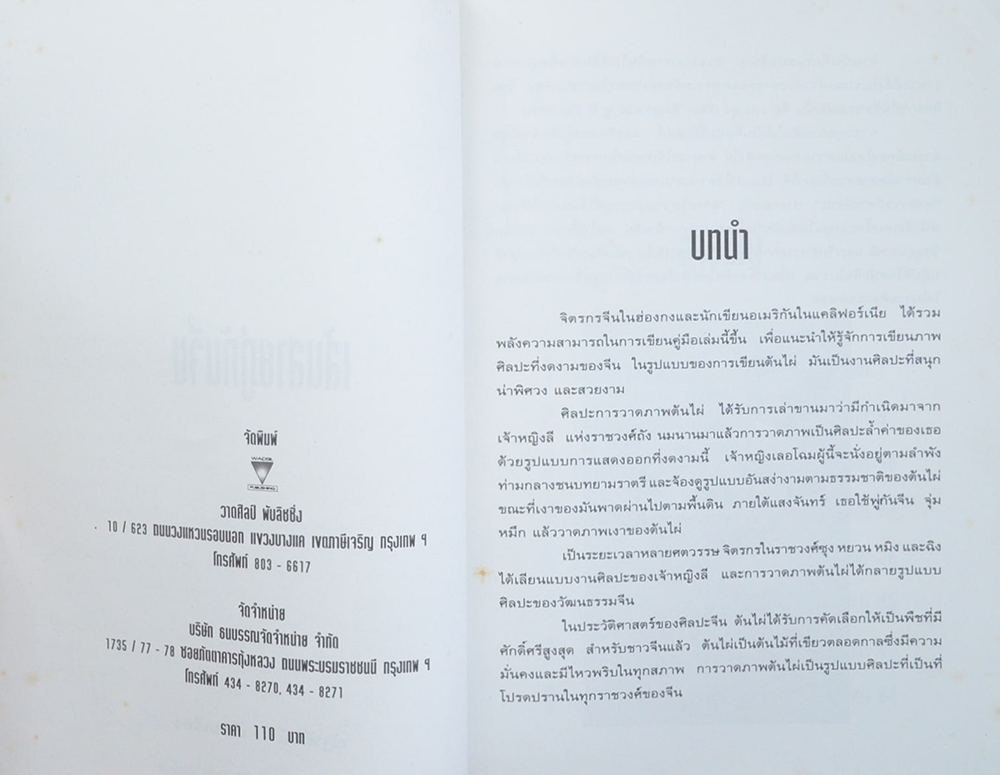 เส้นสายภู่กันจีน