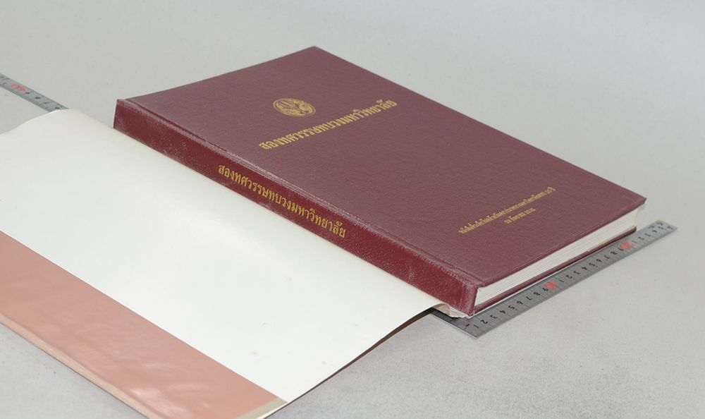 สองทศวรรษทบวงมหาวิทยาลัย