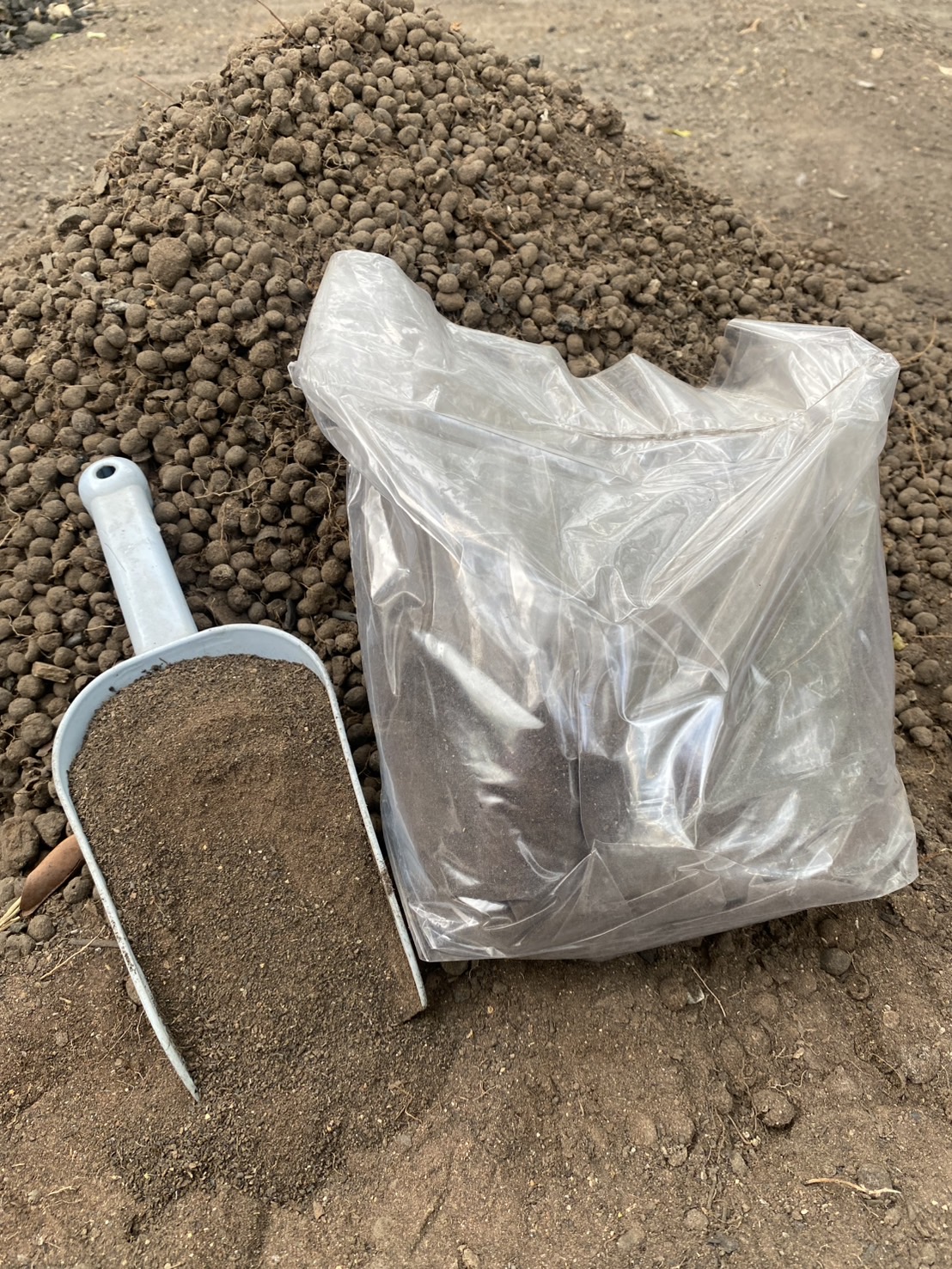 ดินหมักผสมขี้แพะ