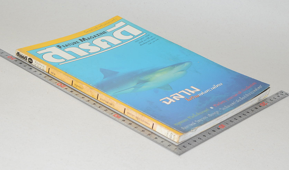 สารคดี ปีที่ 14 ฉบับที่ 160 มิถุนายน 2541