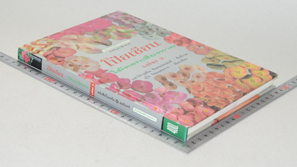 โป๊ยเซียน ไม้ดอกเสี่ยงทาย (เล่ม 3 / ขายตามสภาพ)