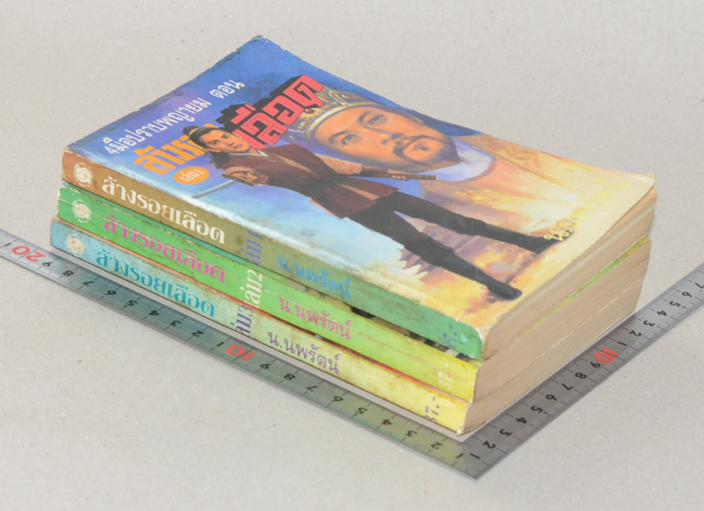 4 มือปราบพยายม ตอน ล้างรอยเลือด (3 เล่มจบตอน)