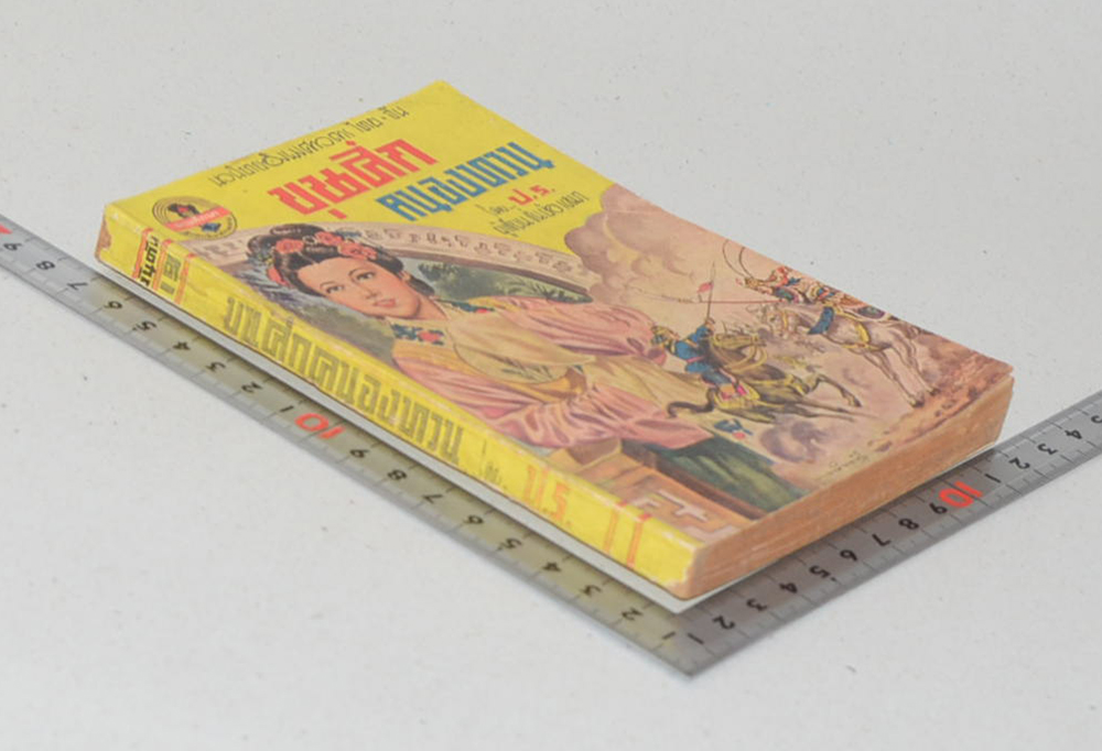 ขุนศึกคนองทวน (จบในตอน) (เล่มเล็ก)