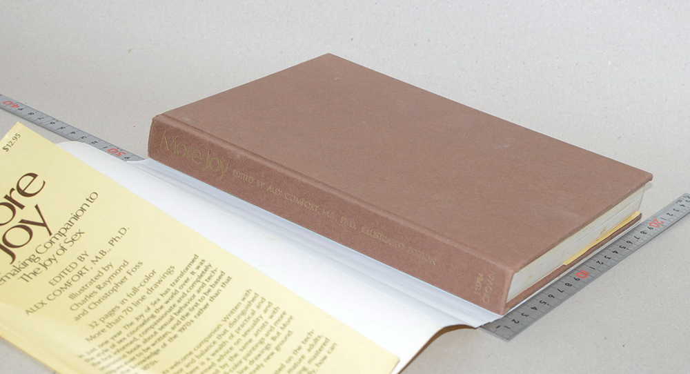 More Joy A Lovemaking Companion to the Joy of Sex