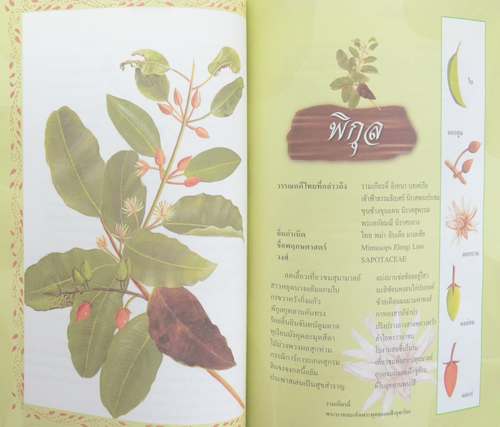 ดอกไม้ในวรรณคดีไทย