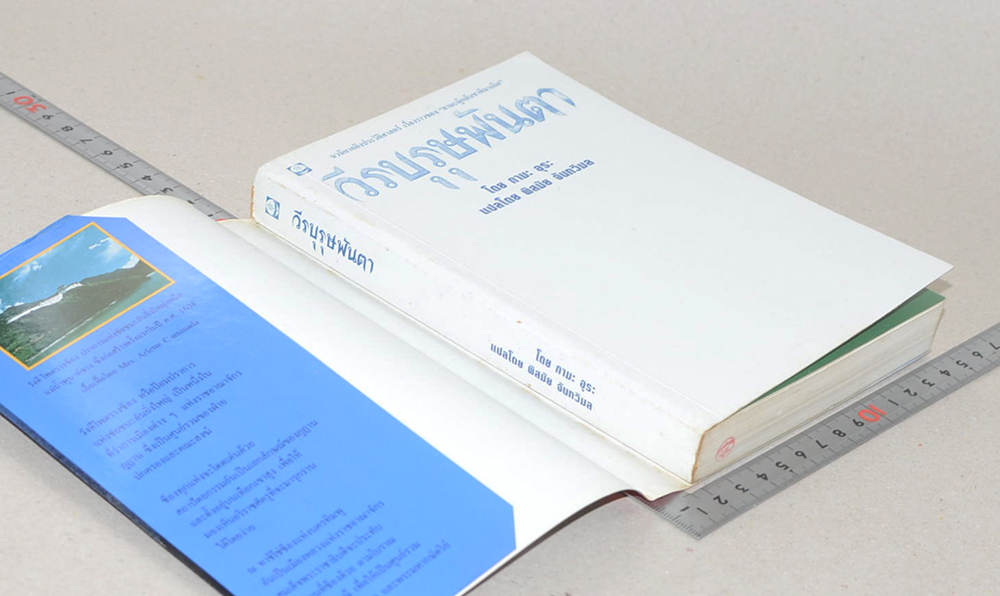 วีรบุรุษพันตา