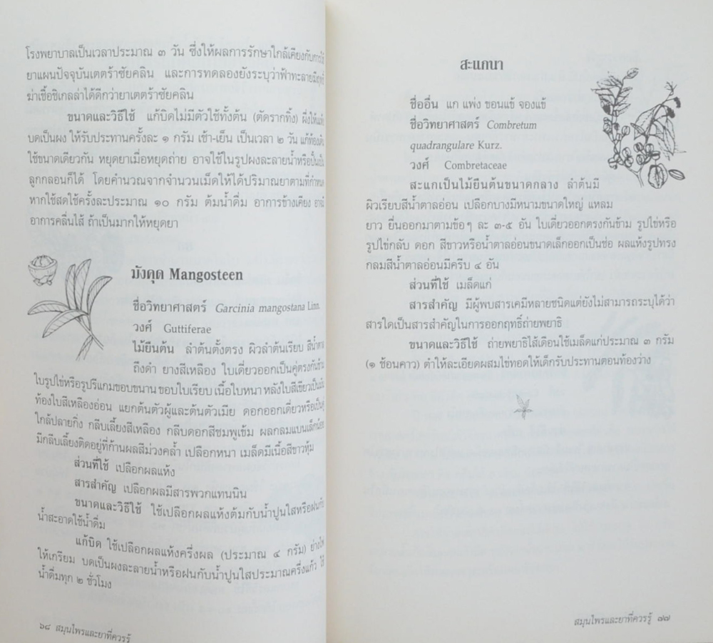 สมุนไพรและยาที่ควรรู้