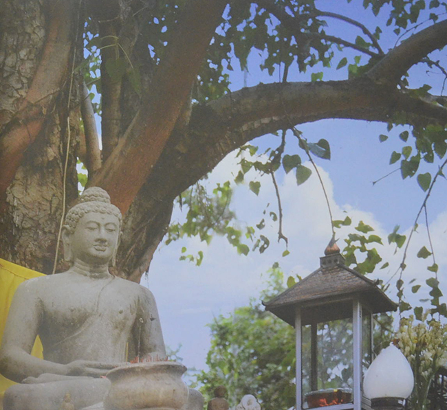 VIHARA JAKARTA DHAMMACAKKA JAYA (2 ภาษา / พร้อมกล่อง)