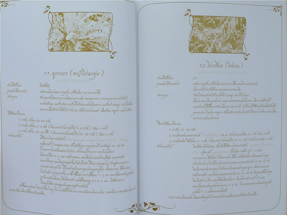 นางกาญจนา เกษมศรี ณ อยุธยา (สมุนไพรจีนต้านมะเร็ง)