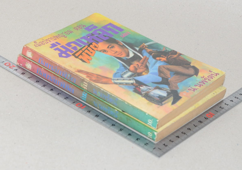 4 มือปราชพญายม ตอน มือเหล็กพิชิต (2 เล่มจบตอน)