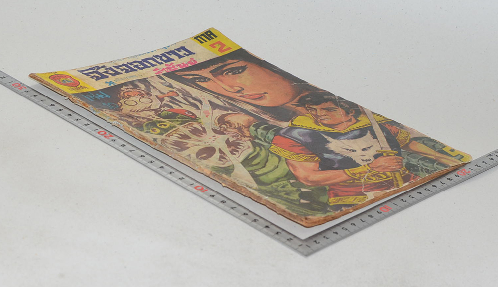 จิ้งจอกขาว ภาค 2 เล่ม 10 (ขายตามสภาพ)