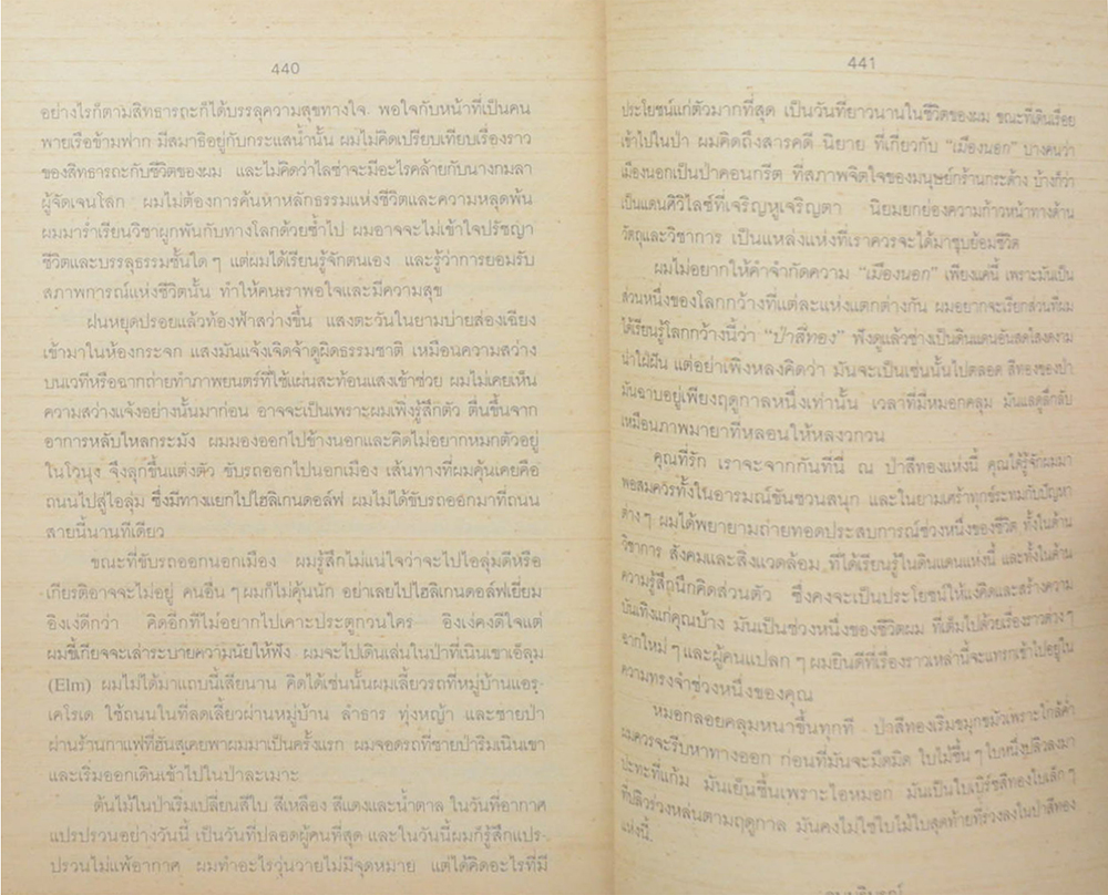 หมอกในป่าสีทอง (2 เล่มจบ)