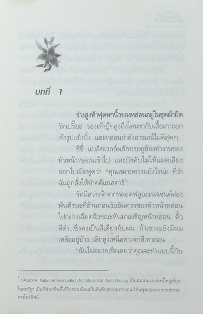ปมพยาบาท (เล่มเดียวจบ)