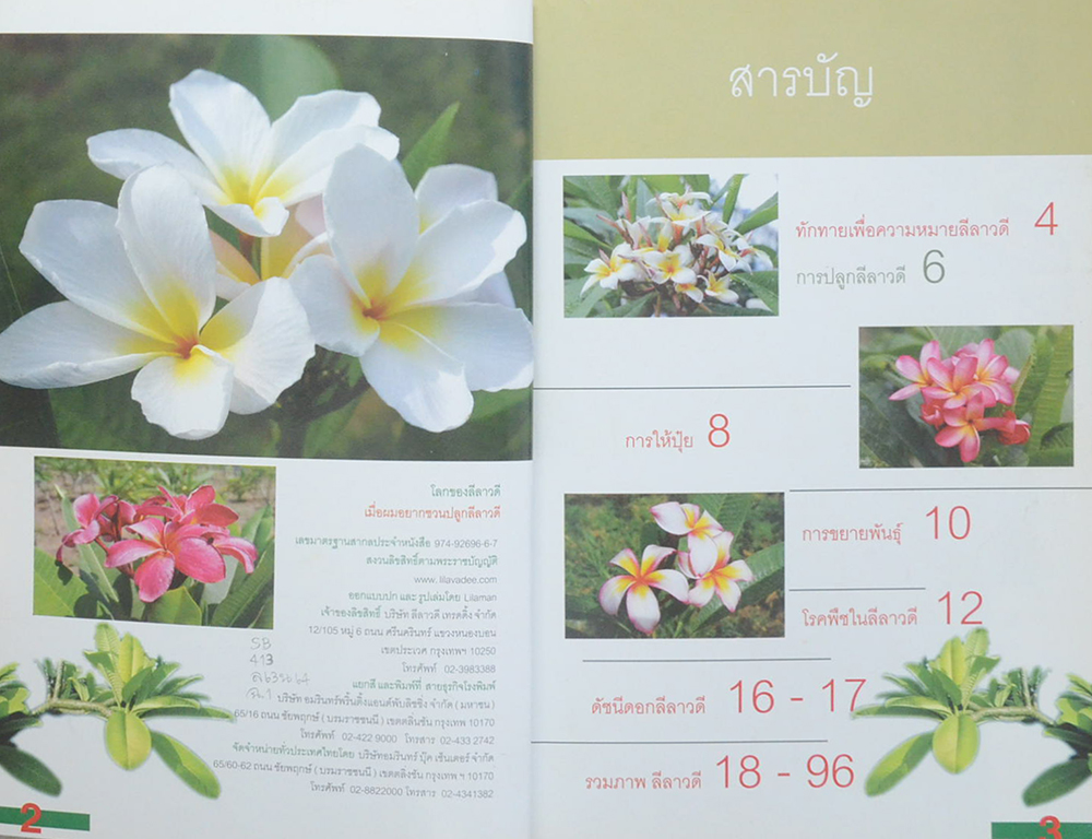 โลกของลีลาวดี เมื่อผมอยากชวนปลูกลีลาวดี (ขายตามสภาพ)