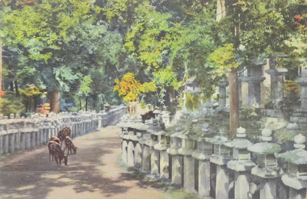 โปสการ์ดเก่า