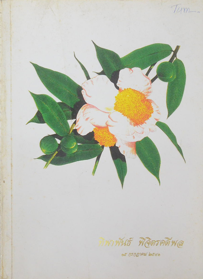 ทิพาพันธ์ พิจิตรคดีพล (ตำราอาหารนานาชาติ) (ขายตามสภาพ)