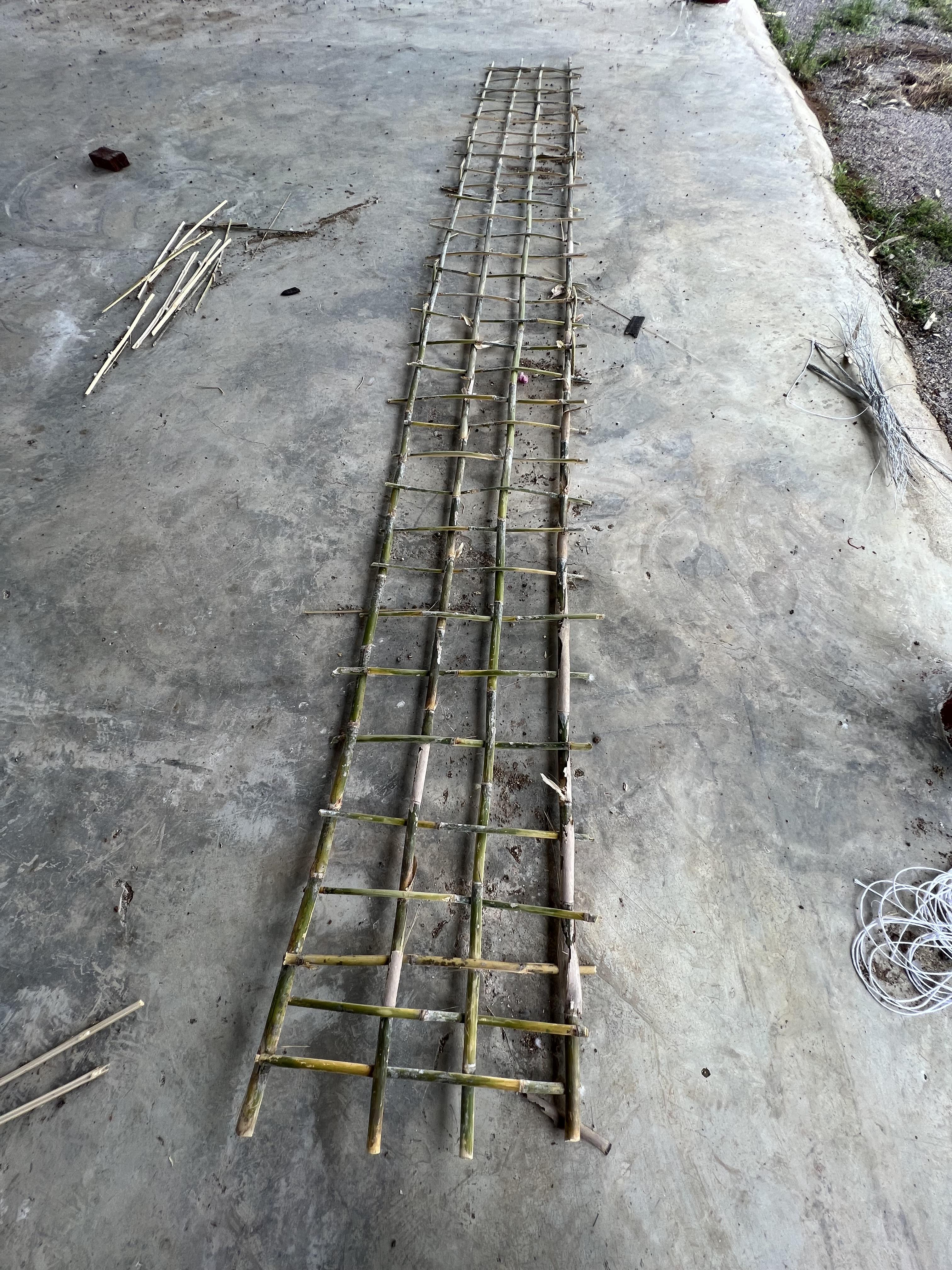 บันไดไม้เลื้อย เสาไม้เลื้อย หลักไม้เลื้อย โครงค้ำไม้เลื้อย ivy ladder