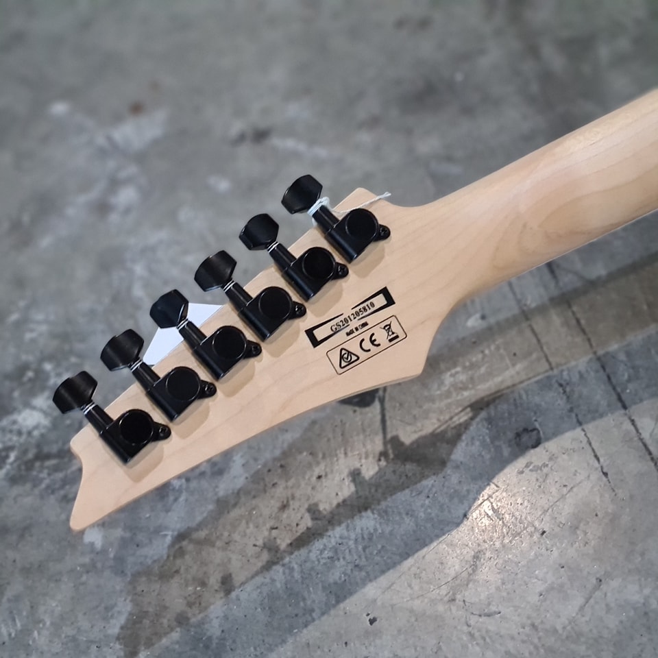 (BRAND NEW) Ibanez RGV250-WH