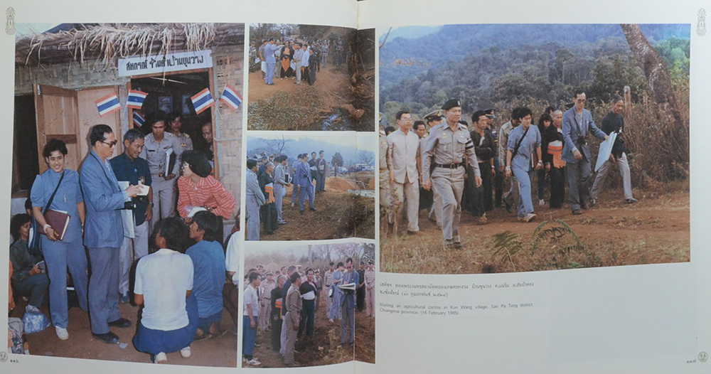 ร่มเกล้าชาวไทย (ขายตามสภาพ)