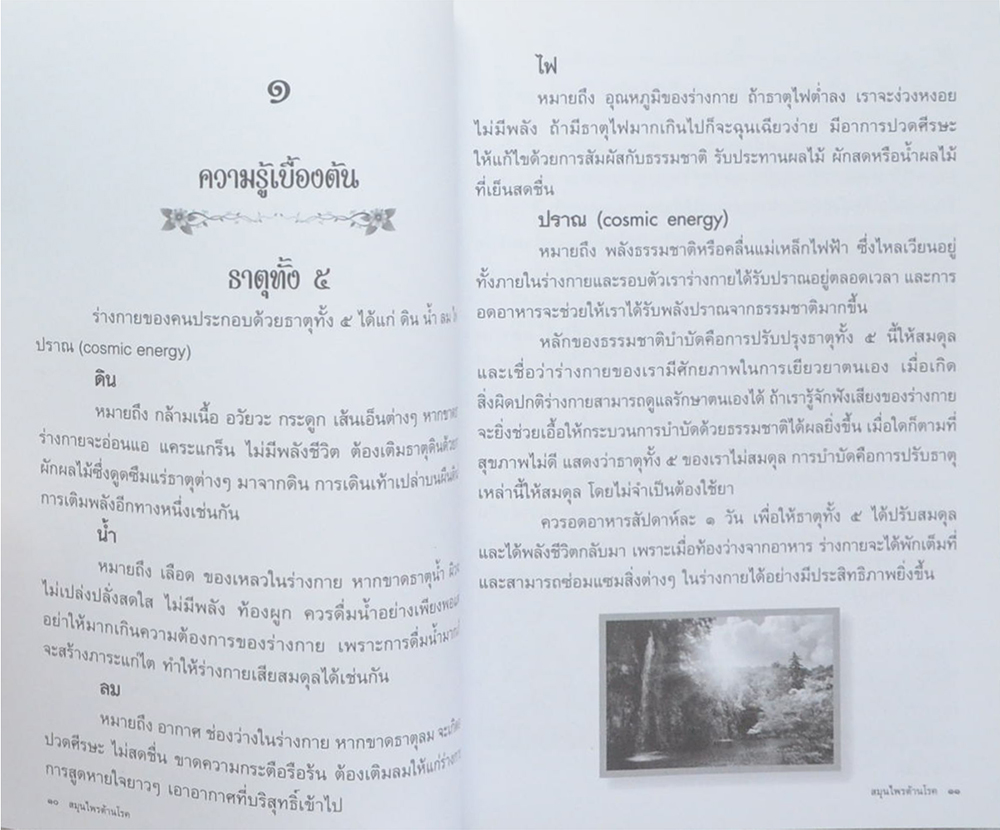 สมุนไพรต้านโรค