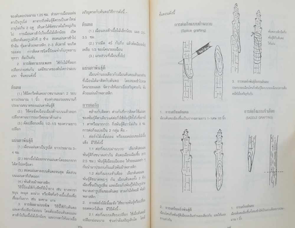 คุณแม่สมปอง ทองหงส์ (การนวดหัวใจ)