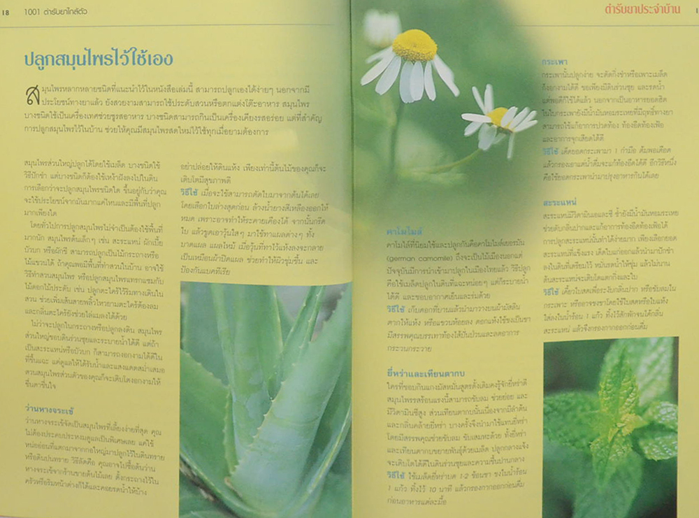 1,001 ตำรับยาใกล้ตัว รักษาโรคด้วยตนเอง