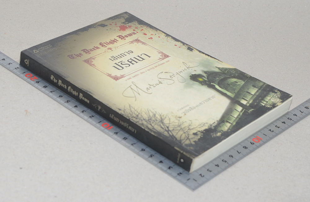 เส้นทางปริศนา