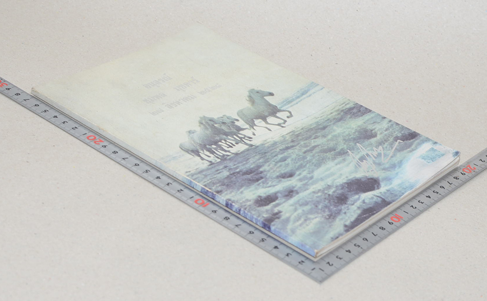 ชุมพล มุขดาร์ (โรคดีซ่าน)