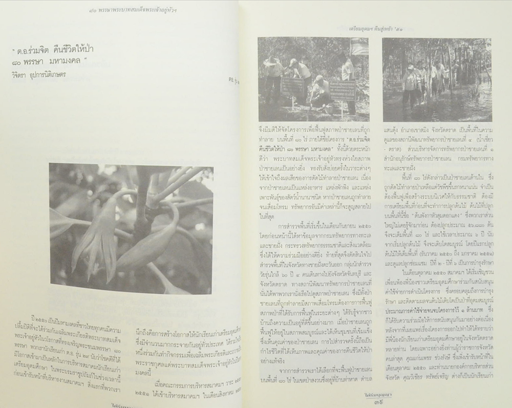 ใต้ร่มบุญญา