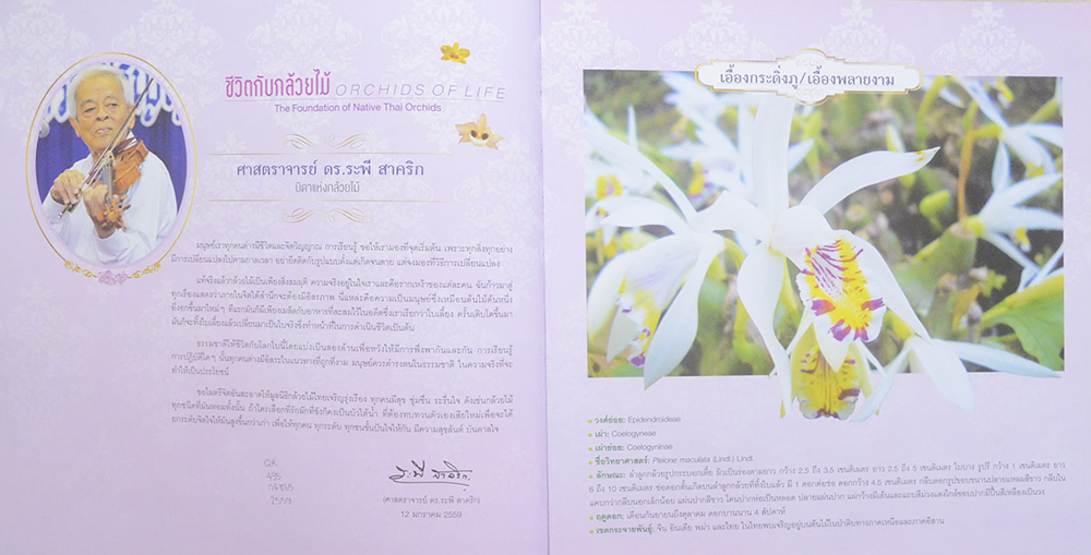 ชีวิตงาม กล้วยไม้ไทย (ขายตามสภาพ)