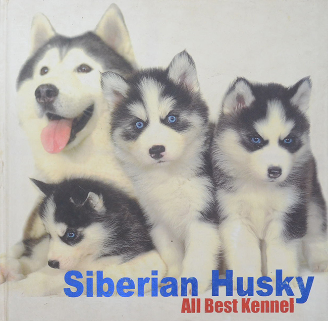 Siberian Husky All Best Kennel