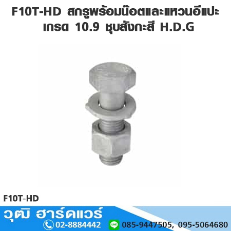 F10T-HD สกรูพร้อมน๊อตและ 2แหวนอีแปะ เกรด 10.9 ชุบสังกะสี H.D.G M12-M36