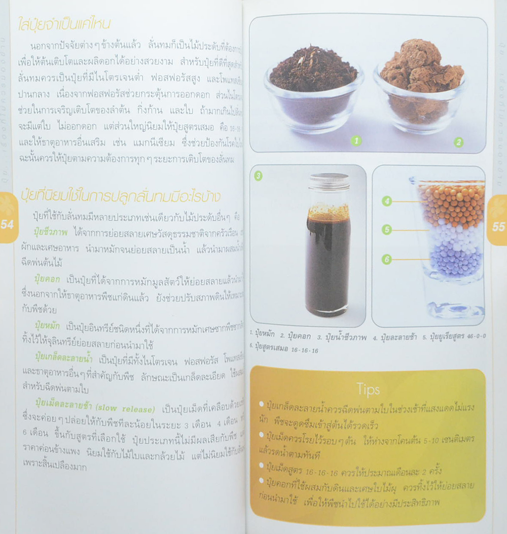 มือใหม่หัดปลูกลั่นทม (ขายตามสภาพ)