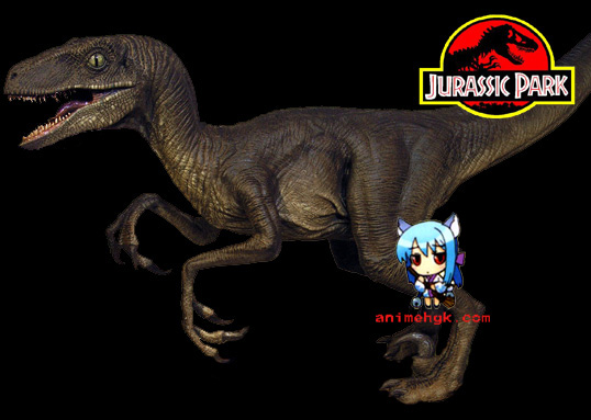 Dinosaur velociraptor raptor 1/5