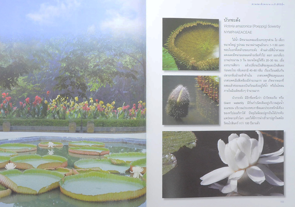 สวนสมเด็จพระนางเจ้าสิริกิติ์ (ขายตามสภาพ)